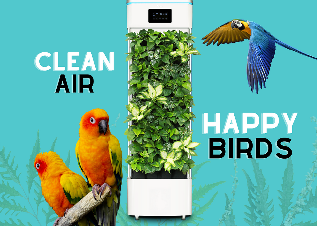 Air purifier for bird outlet owners